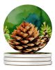 Maine White Pine Cone and Tassels in Watercolor Large Sandstone Coasters Pack of 4 Absorbent Round Coasters Decor Gifts for Men or Women, 4 in