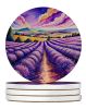 Colorful English Lavender Large Sandstone Coasters Pack of 4 Absorbent Round Coasters Decor Gifts for Men or Women, 4 in, Multicolor