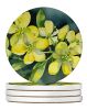 South Carolina Yellow Jessamine in Watercolor Large Sandstone Coasters Pack of 4 Absorbent Round Coasters Decor Gifts for Men or Women, 4 in